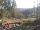 forstunfall_26_kl.jpg (Datum: 2012.03.15)